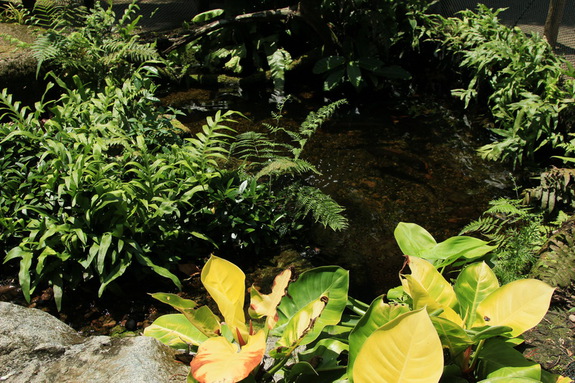 Моя Сингапурская сказка. Singapore ZOO.