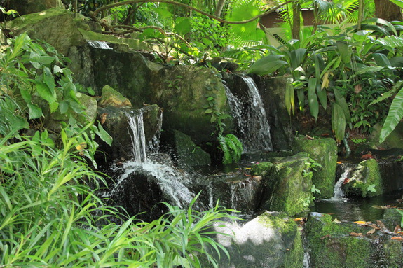 Моя Сингапурская сказка. Singapore ZOO.