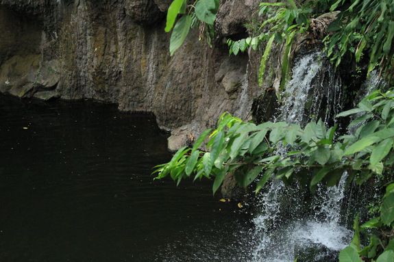 Моя Сингапурская сказка. Singapore ZOO.