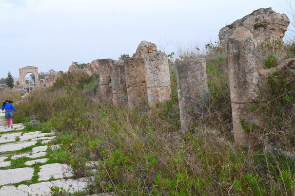 В краю древних Финикийцев