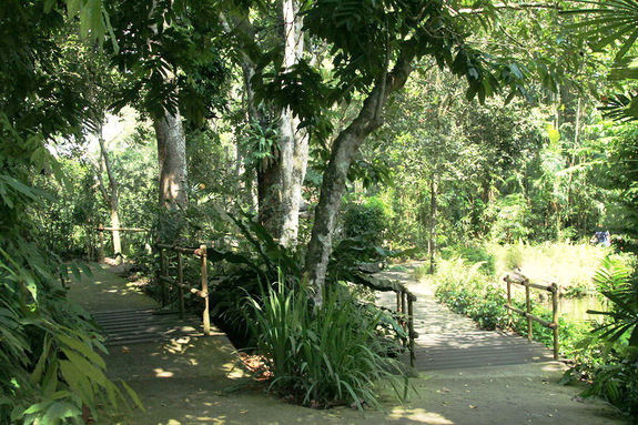 Моя сингапурская сказка. Singapore Zoo (продолжение)