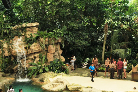 Моя сингапурская сказка. Singapore Zoo (продолжение)